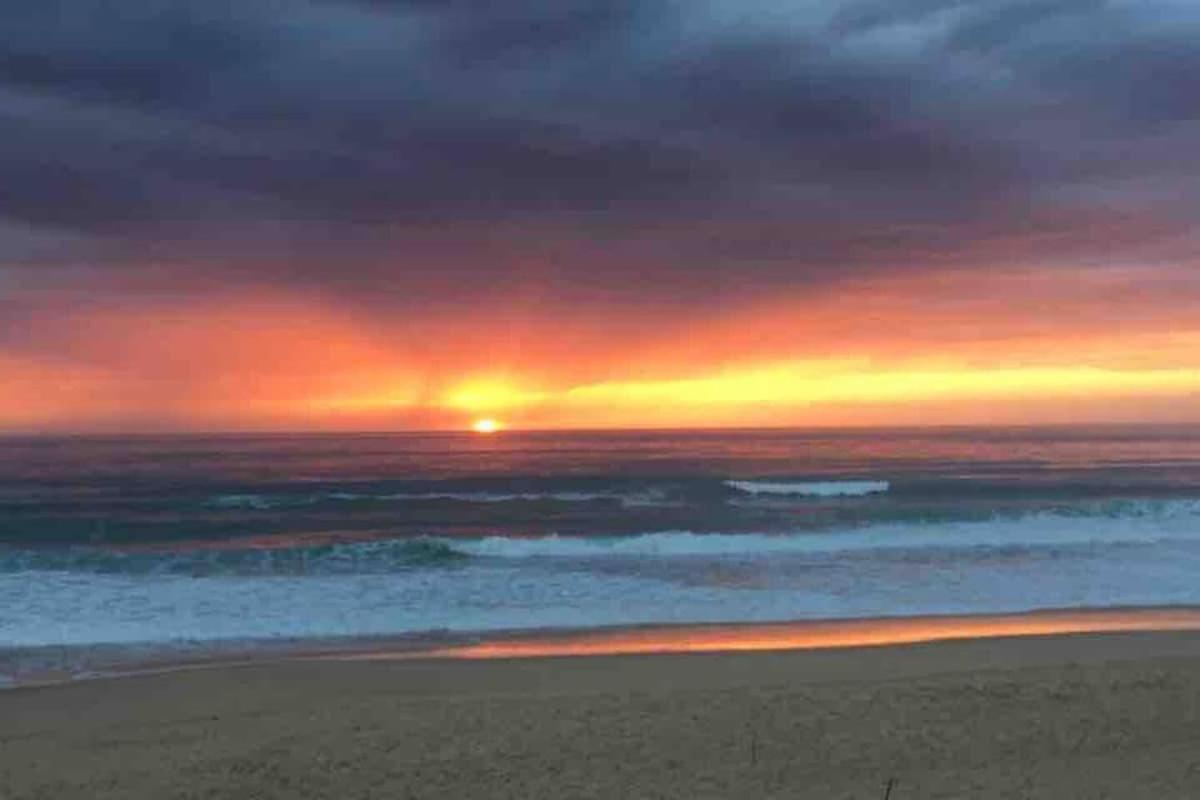La Graviere, Cozy Studio Wifi & Parking 20M Ocean Surf Plage Soorts-Hossegor Dış mekan fotoğraf