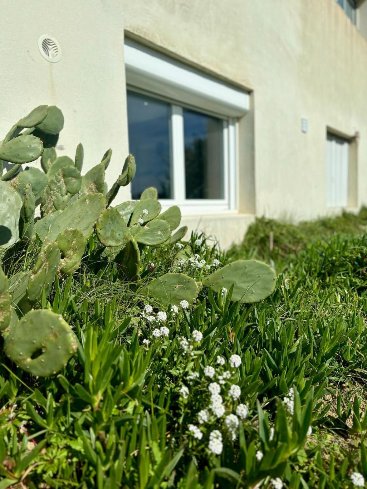 La Graviere, Cozy Studio Wifi & Parking 20M Ocean Surf Plage Soorts-Hossegor Dış mekan fotoğraf
